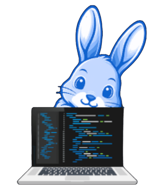 CodeBunny