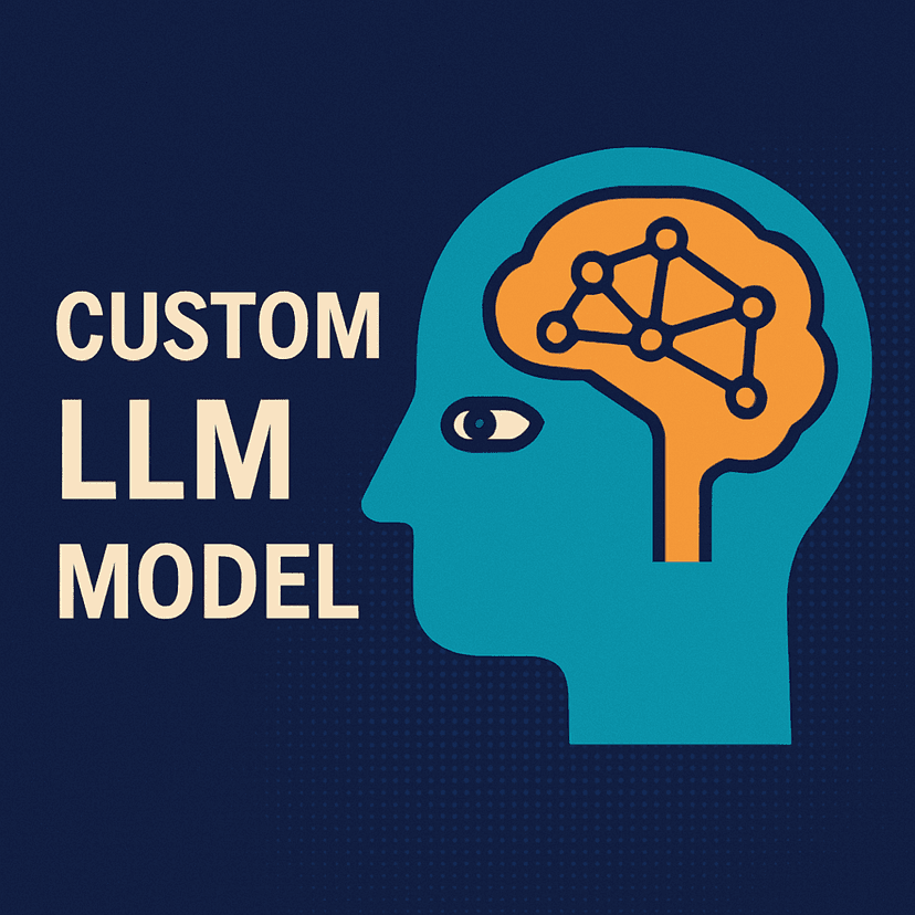 Custom LLM  model